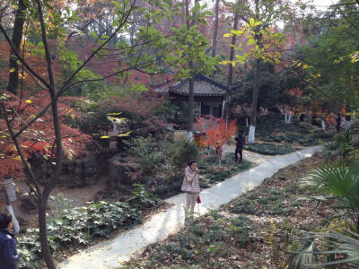 Yushan Park in Autumn